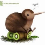 Hiddenkiwi