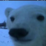73Ted
