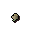 Celastrus seed