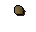 Yew seed